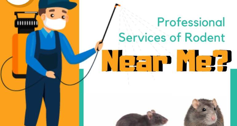 Are You Looking for Professional Services of Rodent and Pest Management Near Me?